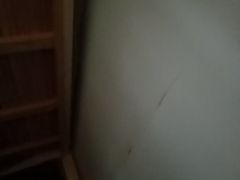 -巢爷老味(东方红店)