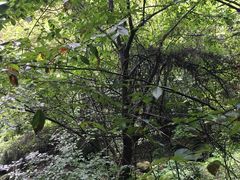 -溪口-滕头旅游景区