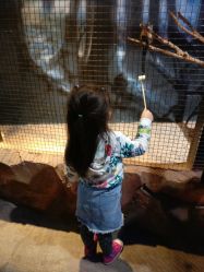 -酷嗒动物文化乐园(cutezoo西溪乐天城店)