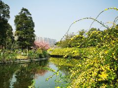 -成都南湖公园