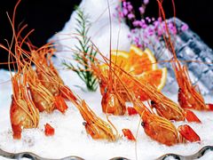 冰镇十年花雕醉罗氏虾-月福京味斋·烤鸭店·北京菜(鼓楼总店)