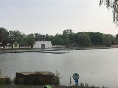 -曹州牡丹园