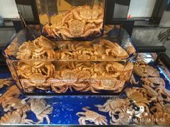 -蟹道乐(道顿堀本店)