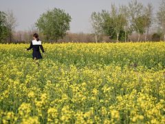 -汉长安城未央宫国家考古遗址公园