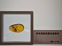 -国家自然博物馆