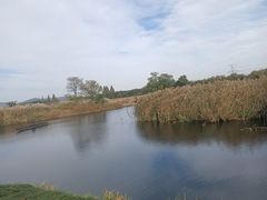 -良渚古城遗址公园