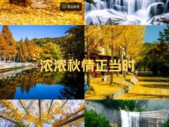 -洛阳白云山景区