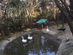 -西安秦岭野生动物园