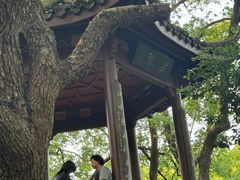 -吴山景区
