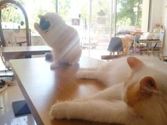 -平行世界·猫咖(首经贸店)