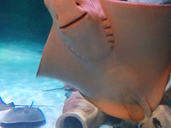 -沈阳海洋探索中心