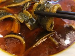 水煮鳝片-新天厨酒家(二分店)