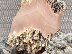 -湖南省地质博物馆