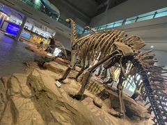 -自贡恐龙博物馆
