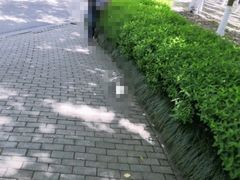 -白塘生态植物园