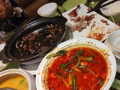 -松沪名灶·豆浆鱼头·新上海菜(飞航吾悦广场店)