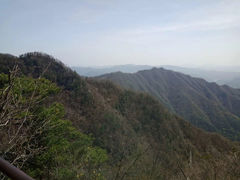 -王顺山国家森林公园