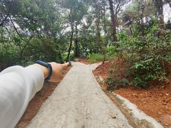 -芦仙山景区-飞越丛林探险乐园