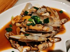 蛏子-华盛丰温州大排档(东三环南路店)