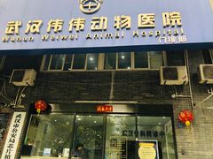 -伟伟宠物医院·CT影像中心·瑞派犬猫综合性门诊(汉口总院)