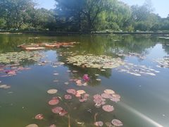 -国家植物园南园