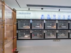 -翊宠yipet猫狗购宠庄园犬舍•猫舍