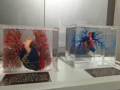 -陕西自然博物馆