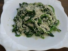 芝麻菠菜-清之口·东乡鸡自助饺子(经二路店)