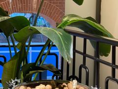 -LESCEDARS Brasserie Bistro香柏树