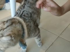 -怪兽屋·羊驼·猫咖·狗咖(俊华广场店)