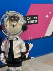 -爱婴室(上海汇智国际广场店)