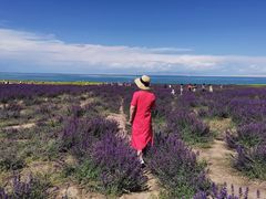 -青海湖国家重点风景名胜区