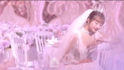 -曼格纳婚礼艺术中心(张江店)