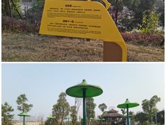 -东岳体育公园