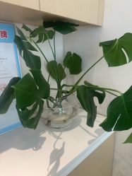 点击看大图 -Dr.林醫生产后修复·配方产康店(南京大厂店)