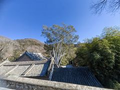 -潭柘寺景区