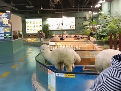 -上海大自然野生昆虫馆(东方明珠·爬宠昆虫探索中心)
