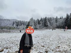 -武陵山森林公园