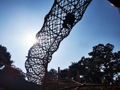 -中国福利会少年宫