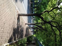 星巴克(漕河泾二店)-星巴克(漕河泾2店)