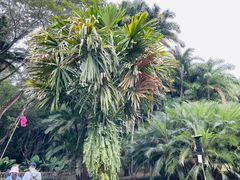 -中国科学院西双版纳热带植物园