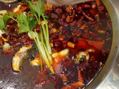 -老表牌·蛙蛙鸡冷锅鱼(成都东站店)