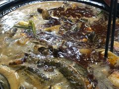 -金海椒罐罐鲢鱼(东方桂苑店)