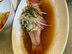 -绮梦西湖·云端餐厅(歌德店)