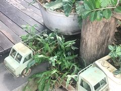 -莓园冰淇淋店