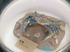 -陕西自然博物馆