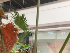 -沈阳铁西万象汇
