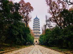 -灵谷景区