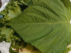-炭之家齐齐哈尔大片烤肉·涮毛肚火锅·齐齐哈尔烤肉(中央大街店)