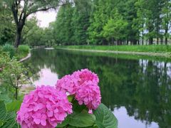 -上海共青森林公园